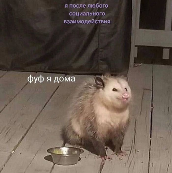 картинка f25280307f 0000