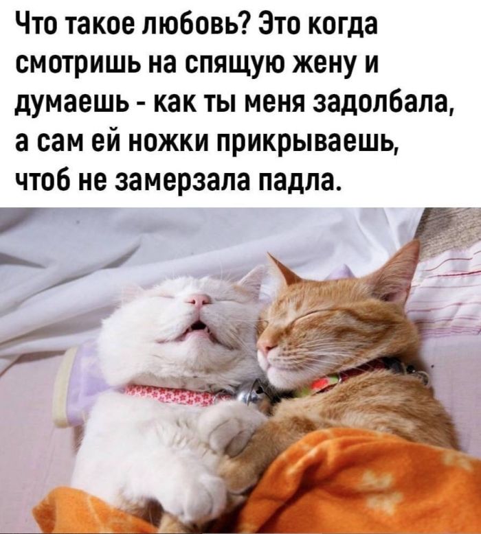 Готовьтесь смеяться до слез! 🤣 Новый сборник мемов и комментариев уже здесь! самые, комментарии, просто, собрали, настроения, которые, сетей, социальных, смешные, любой, сборник, поднятие, этого, просмотра, после, уверены, настроениеРазнообразие, Здесь, бытовых, найдется