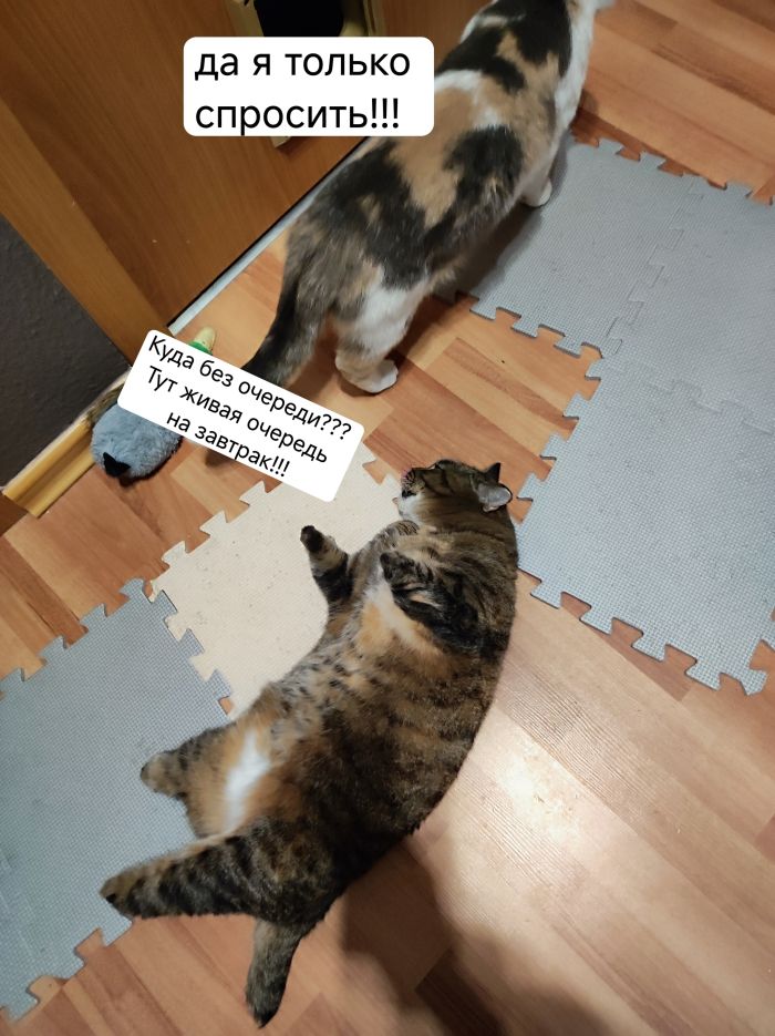 картинка f35c676a5a novyj sbornik pozitiva dlja idealnogo zavershenija rabochej nedeli 6