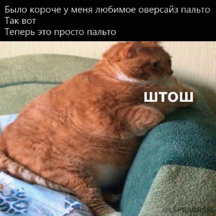 картинка f3b2a9e025 zabudte o grusti my sobrali dlja vas otbornuju porciju jumora prjamikom iz socsetej 6