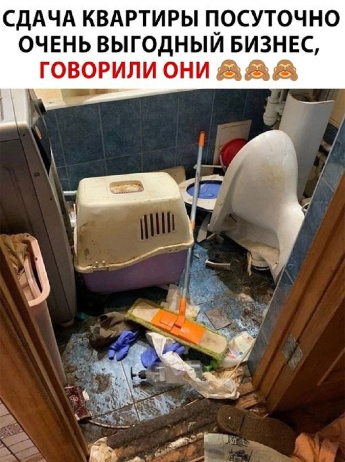 Взрыв позитива: лучшие мемы для ваших выходных