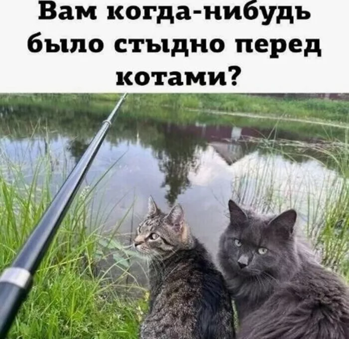 картинка f4bacf36bb 00