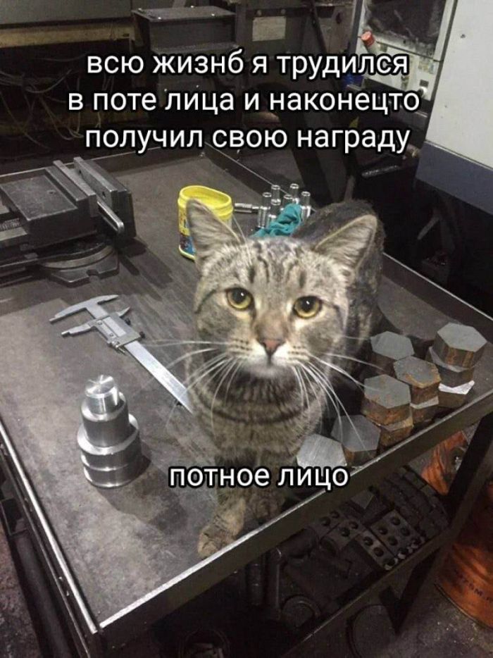 картинка f4f7b7dcc2 ischesh kak podnjat sebe nastroenie luchshee reshenie zdes 13