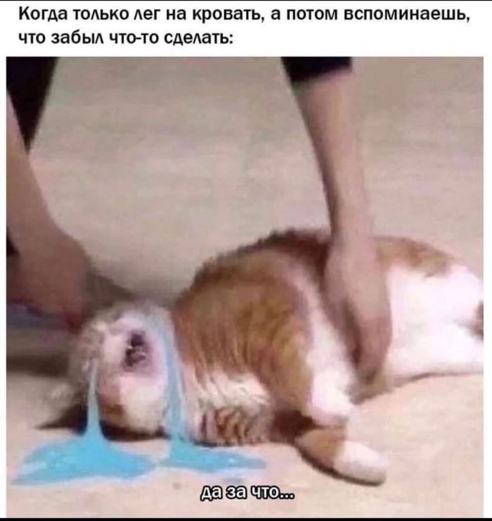 Новый сборник приколов к маленькой пятнице! 🤩 Неделя, горячие, близко, Выходные, недели, середины, приколы, шутки, самые, разгаре, Ловите, юмора, свежего, порцией, будни, разбавить, значит, держитесь