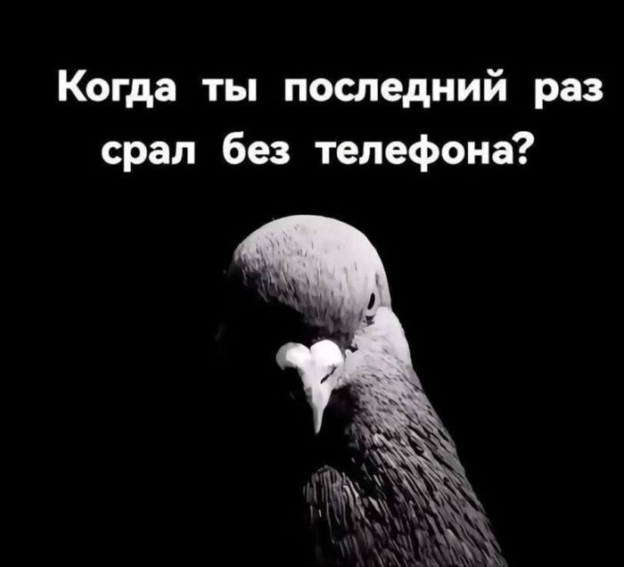 картинка f7dfa4afd4 chernyj jumor dlja teh kto ljubit ostrye shutki i ne boitsja tabu 14