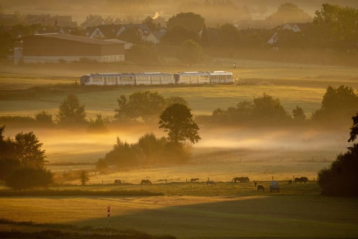 картинка fcdee8748c lovite pozitivchik podborka svezhih shutok i memov dlja vashej malenkoj pjatnicy 2