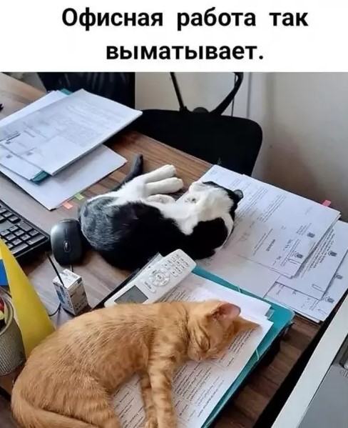 картинка 04a0475227 bolshoj sbornik otbornogo jumora v pjatnicu8