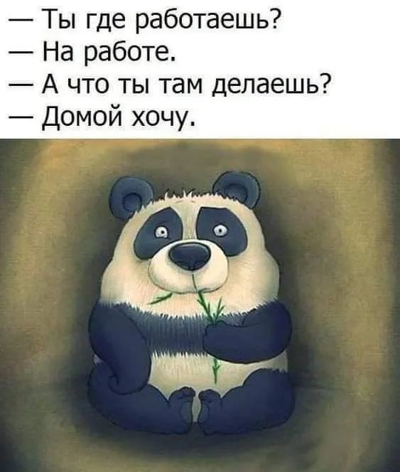 картинка 0613701f62 20901998