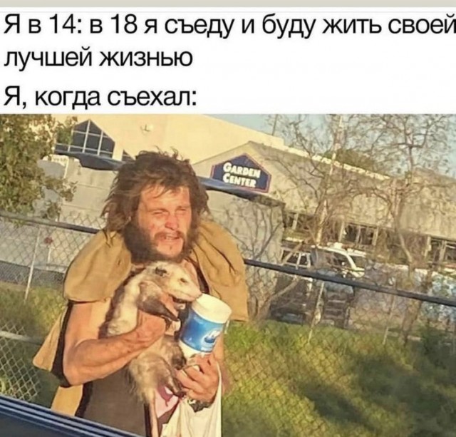 картинка 08988a1f43 20868206