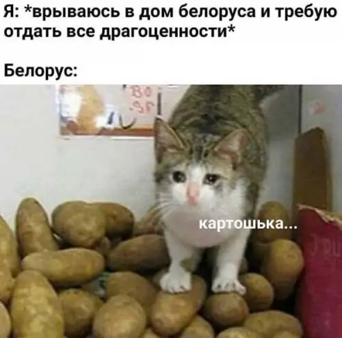 Лучшие шутки в мемах: сборник позитива для вашего дня! Забудьте, настроение, готовы, снова, смеха, минут, хмурый, самый, улыбнуться, заставят, поднимут, суете, которые, картинок, забавных, мемов, смешных, сборник, большой, собрали