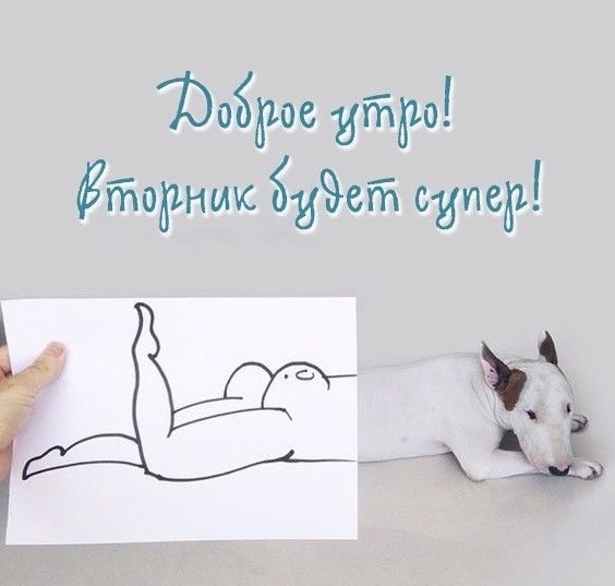 картинка 097996d4c4 20868541