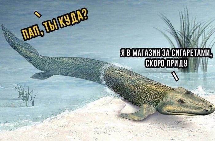 картинка 09af856a78 ubojnaja podborka kommenty iz seti memy smeh do slez 6