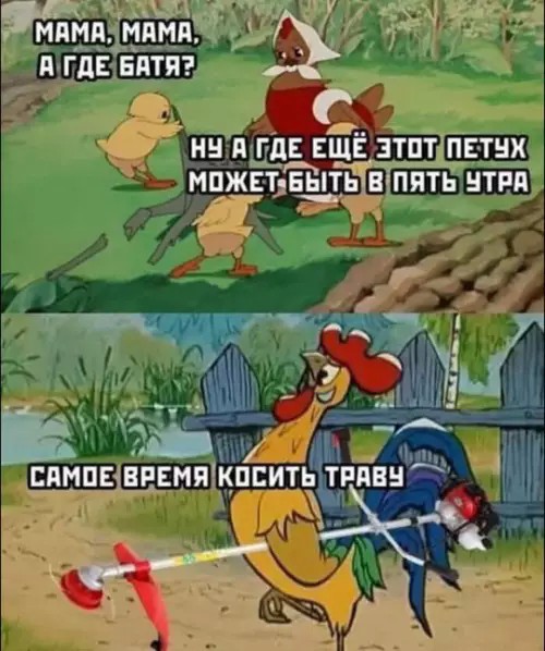 картинка 0a0b2fb7cf 20927352