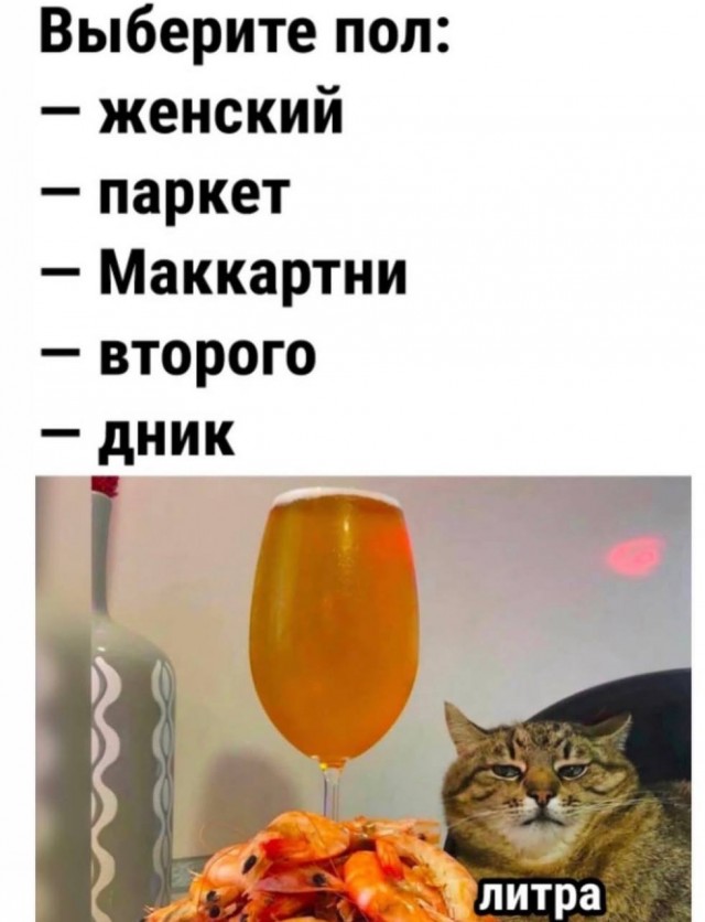 картинка 0a6d405fb9 20850693