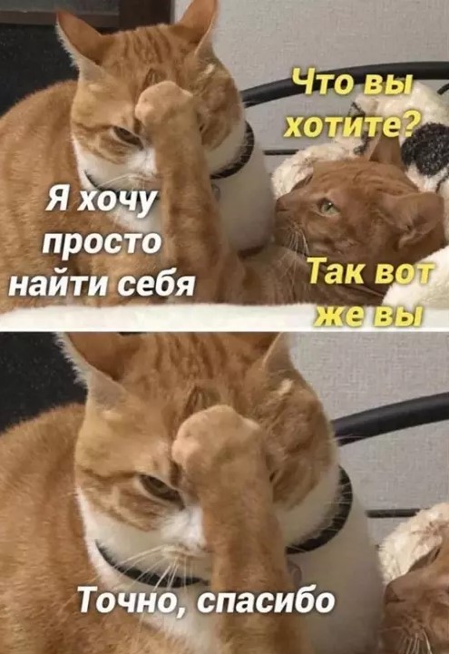 картинка 0ac2b3dca7 malenkaja pjatnica uzhe zdes podnimaem nastroenie v seredine nedeli 3