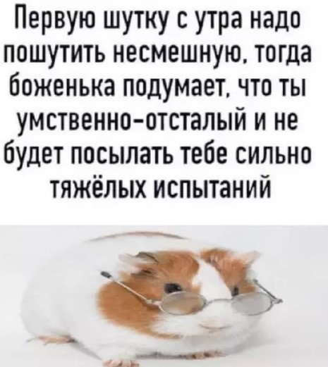 картинка 0f1aa913ec 20869657