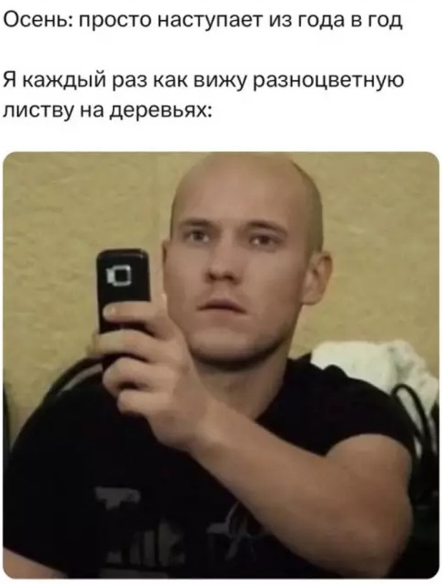 картинка 0f2e46a0d4 20869643