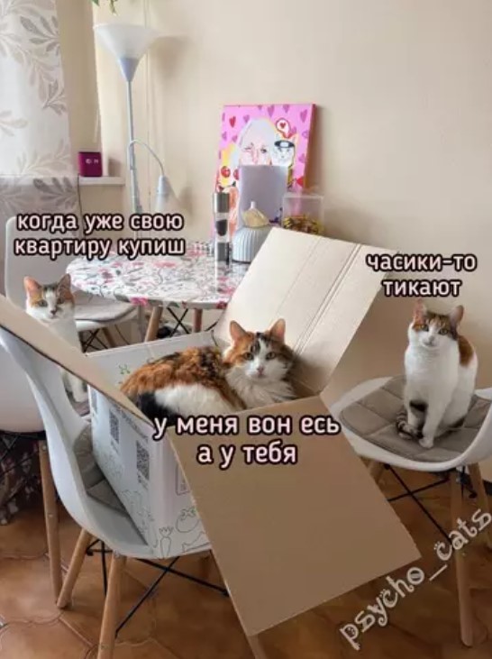 картинка 0f65d29978 20901698