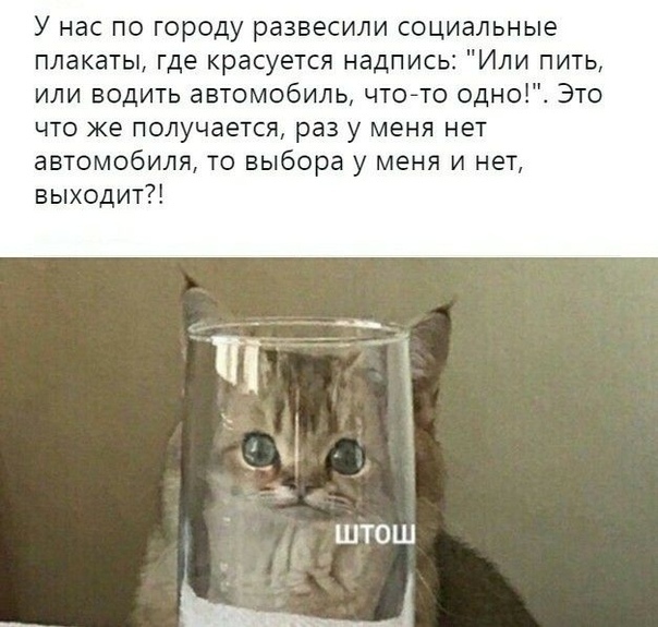 Улыбнитесь шире! Новый сборник шуток и приколов уже здесь, чтобы поднять вам настроение! каждая, Тогда, настроения, Устали, поездку, Готовы, веселья, искреннего, минут, несколько, подарят, просто, скрасят, скучную, смеха, тяжелого, после, расслабиться, помогут, ситуации