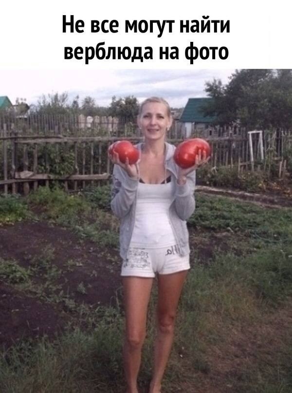 Пятница — время смеяться! Уморительная подборка мемов для отличного настроения 🎉 друзья, картинок, рабочей, долгой, после, настроение, поднимет, точно, подборка, смеяться, Готовьтесь, надписями, мемов, пятница, уморительных, порцию, свежую, самую, собрали, позитивным