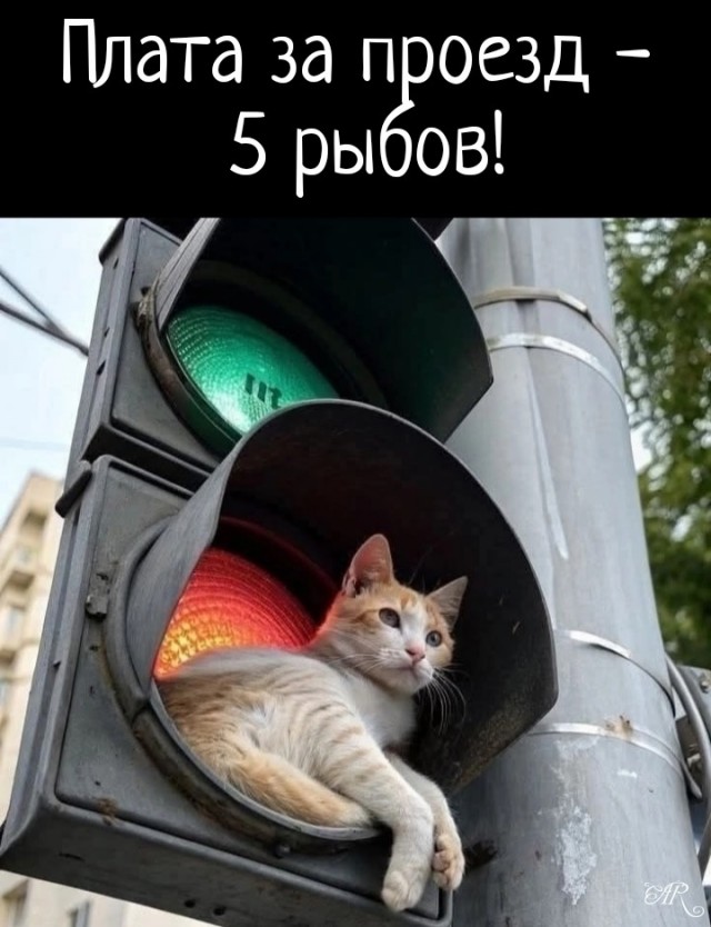 картинка 173d25a5fd 20885146