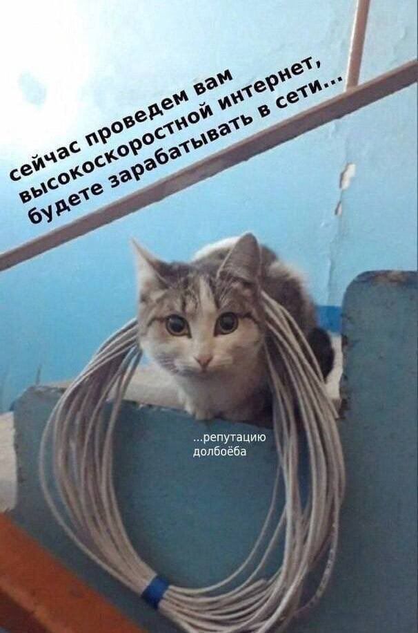 Ура, выходные! 🎉 Время отдохнуть, расслабиться и зарядиться позитивом. может, которые, только, будет, дальше, смеха, взрыву, Готовьтесь, хохотать, улыбнуться, заставят, точно, надписями, лучше, картинки, лучшие, самыесамые, собрали, шуток, уморительных