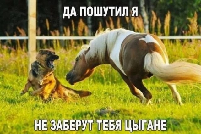 Пятница — время смеяться! Уморительная подборка мемов для отличного настроения 🎉 друзья, картинок, рабочей, долгой, после, настроение, поднимет, точно, подборка, смеяться, Готовьтесь, надписями, мемов, пятница, уморительных, порцию, свежую, самую, собрали, позитивным