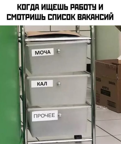 картинка 197e103b31 20927268