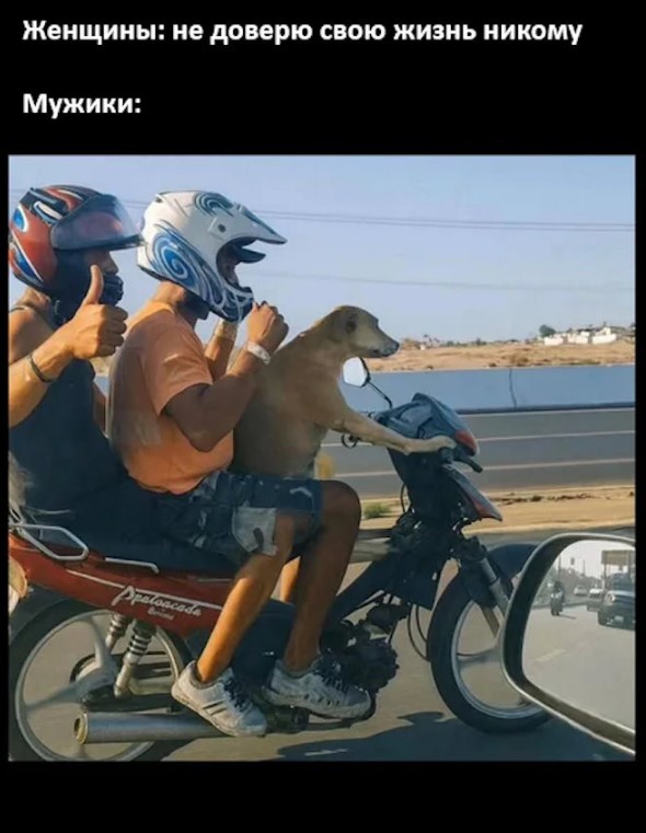 Улыбнитесь шире! Новый сборник шуток и приколов уже здесь, чтобы поднять вам настроение! каждая, Тогда, настроения, Устали, поездку, Готовы, веселья, искреннего, минут, несколько, подарят, просто, скрасят, скучную, смеха, тяжелого, после, расслабиться, помогут, ситуации