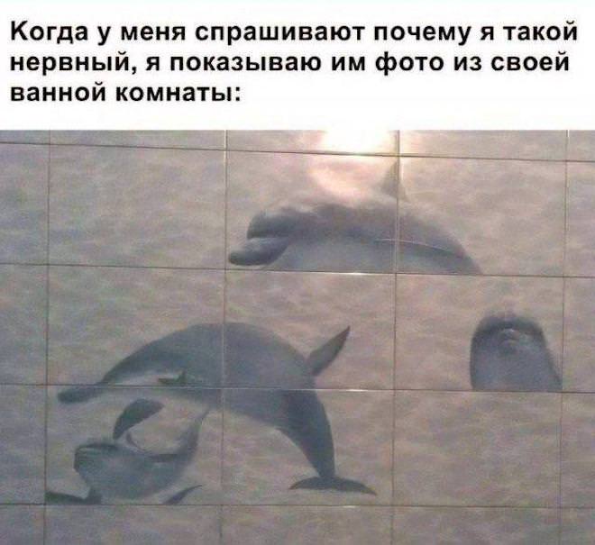 картинка 19e2ecaa1e svezhaja porcija smeha iz glubin interneta 12