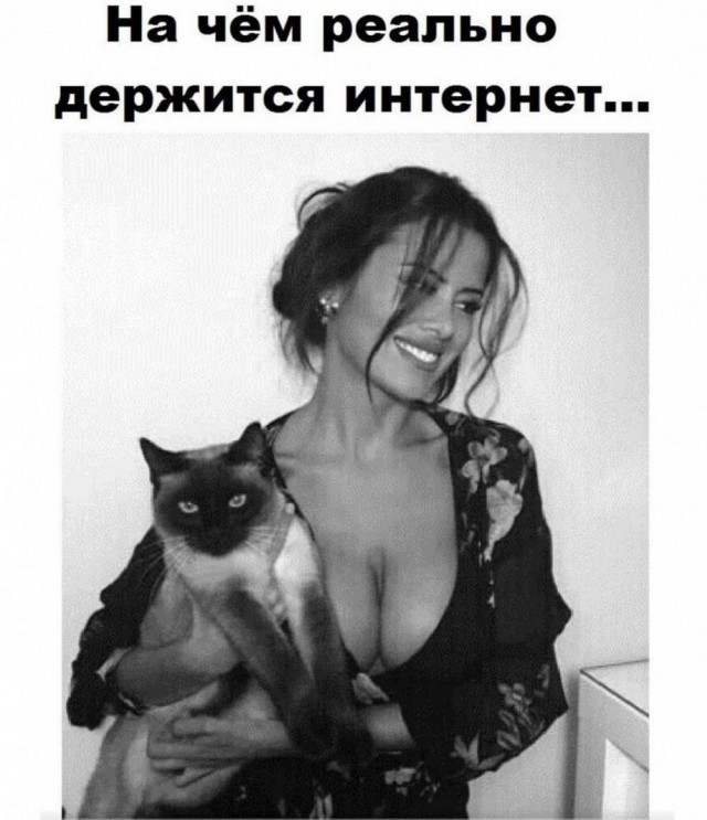 картинка 1c128dde98 20885174