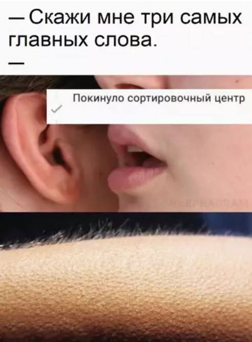 картинка 1db140fdad 20881287