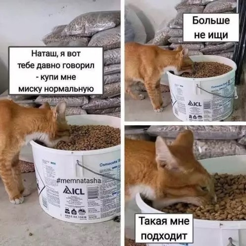 Понедельник не так уж и страшен! 😉 неделю, понедельник, Привет, получайте, 😊Готовы, зарядиться, позитивом, Тогда, теряйте, времени, листайте, дальше, смеха, утреннего, хорошим, 😄🤣Пусть, станет, «тяжёлым, стартом», ярким