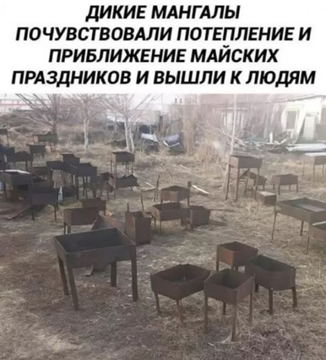 Выходные + смешные мемы = идеальное настроение! Забудь, самые, Проведи, позитива, заряд, подарят, настроение, поднимут, гарантированно, которые, уморительные, отобрали, скуку, тщательно, смехом, искренним, эмоциями, яркими, наполнены, будут