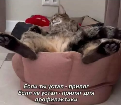 картинка 205a560d40 chernyj jumor i poshlye prikoly dlja cenitelej 2