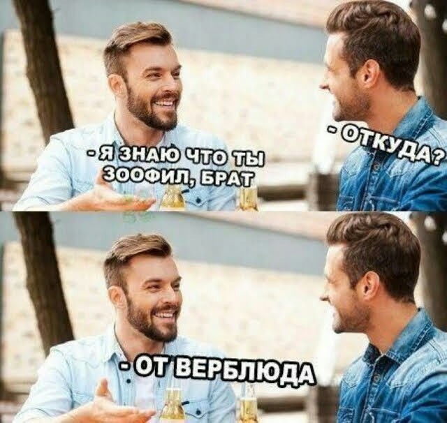 картинка 210138d01c 20869603