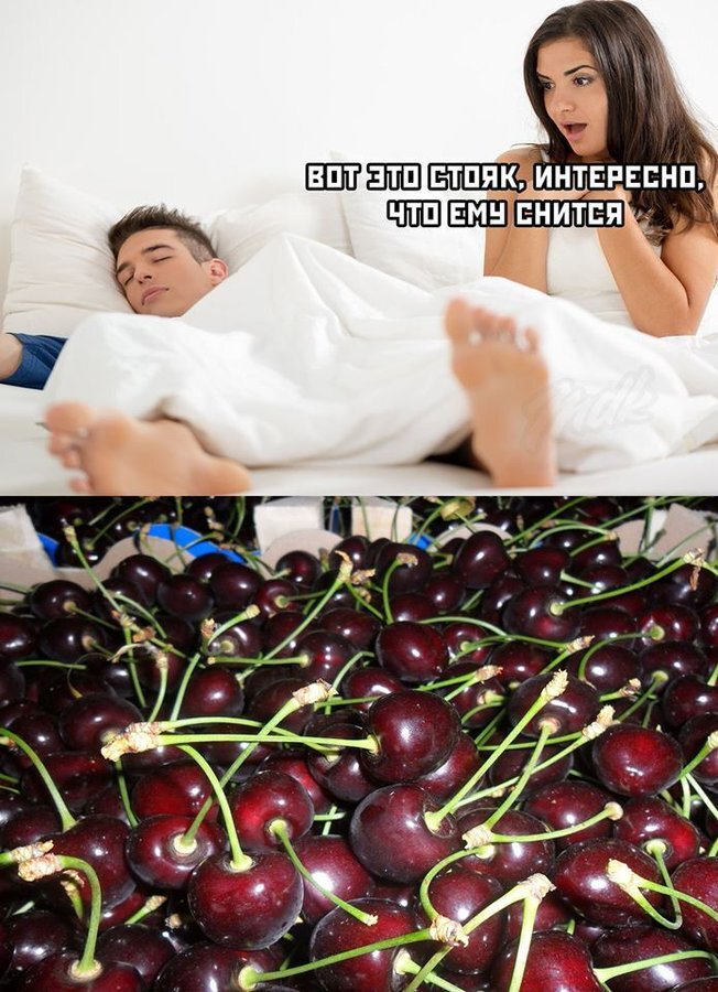 Устали от будней? Хочется улыбнуться? Тогда вам сюда! собрали, просто, делитесь, смейтесь, Листайте, позитива, настроение, отличное, Гарантируем, наслаждайтесь, заботах, свежую, Забудьте, надписями, картинках, мемах, юмора, отборного, самого, порцию