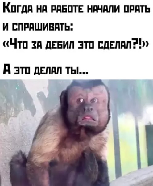 картинка 2624d808b3 20869662