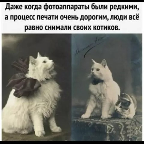 картинка 26d9f666b1 20881085