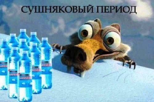 картинка 2b23030f6c 20903674