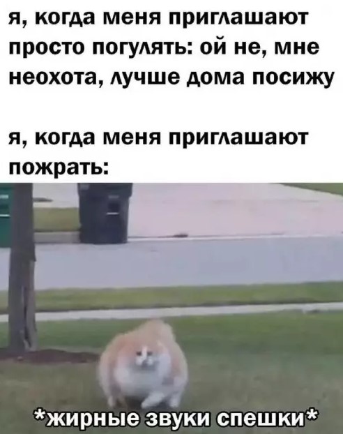 Выходные + смешные мемы = идеальное настроение! Забудь, самые, Проведи, позитива, заряд, подарят, настроение, поднимут, гарантированно, которые, уморительные, отобрали, скуку, тщательно, смехом, искренним, эмоциями, яркими, наполнены, будут