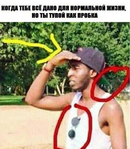 картинка 2bfd6d1fd1 0000000000000000