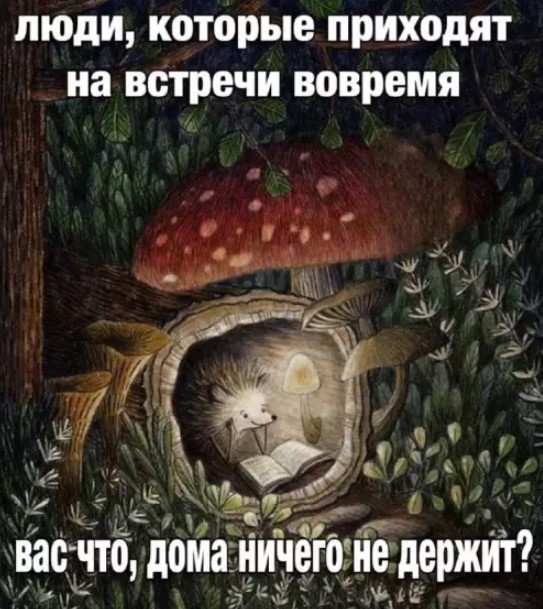 картинка 2c4a82a143 20901265