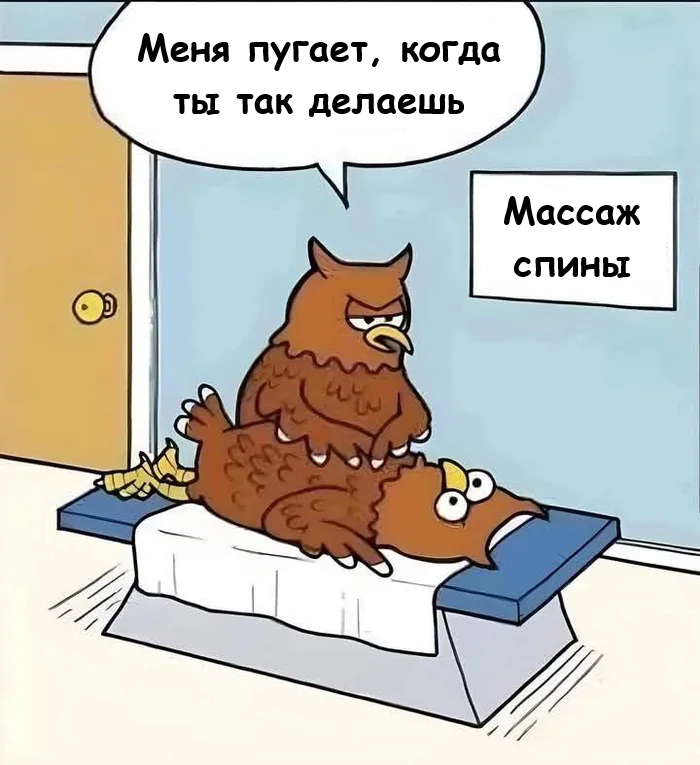 картинка 2ccf5309a8 00