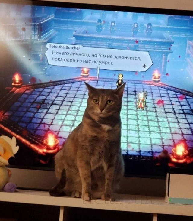 картинка 2d25b1c7d2 20903717