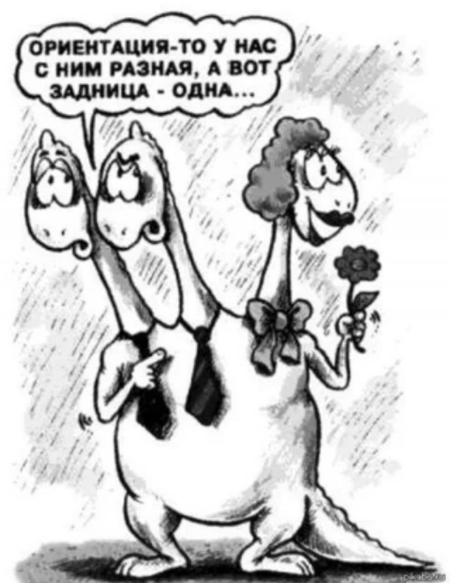 картинка 307381be6f 20927247