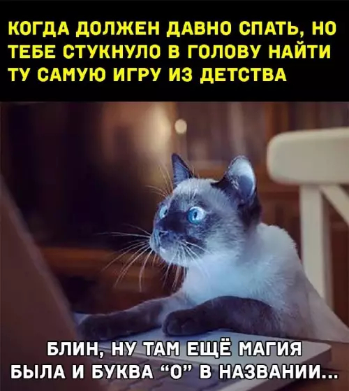 Выходные + смешные мемы = идеальное настроение! Забудь, самые, Проведи, позитива, заряд, подарят, настроение, поднимут, гарантированно, которые, уморительные, отобрали, скуку, тщательно, смехом, искренним, эмоциями, яркими, наполнены, будут