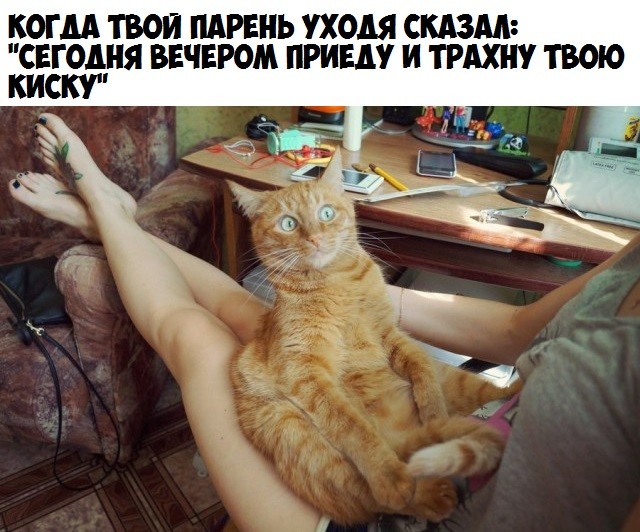 картинка 30b492b2d1 20891113