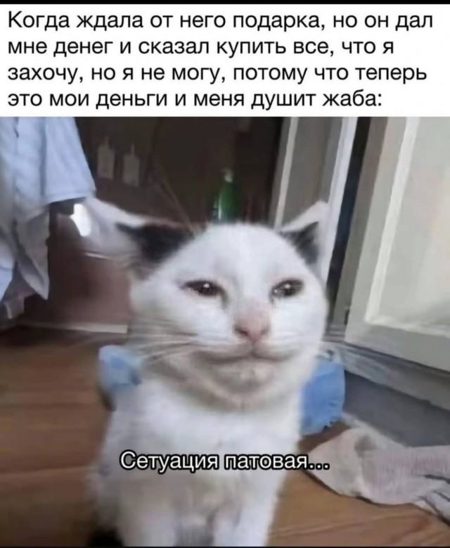 картинка 35a03654db 20849627