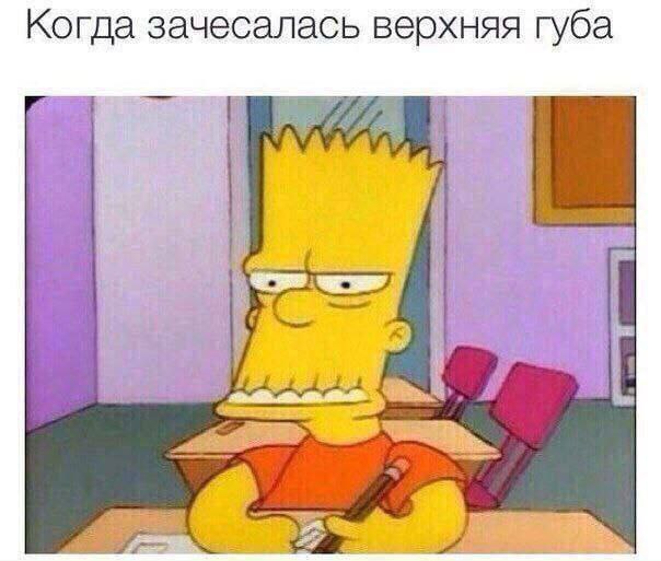 картинка 35cd8b3cb8 20851069